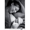 [AFFICHE] Photographie extraite du Guide de l'allaitement maternel