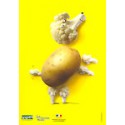 [CARTE POSTALE] Pour un enfant, un légume sera toujours plus intéressant avec un féculent. ( pomme de terre)