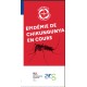 [FLYER] Épidémie de chikungunya en cours