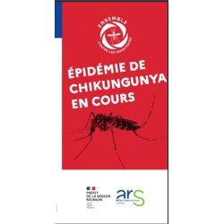 [FLYER] Épidémie de chikungunya en cours