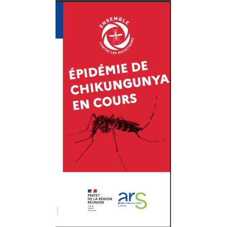 [FLYER] Épidémie de chikungunya en cours