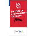 [FLYER] Épidémie de chikungunya en cours