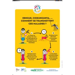 [AFFICHE] Dengue, chikungunya... Comment se transmettent ces maladies ?