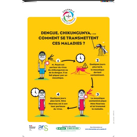 [AFFICHE] Dengue, chikungunya... Comment se transmettent ces maladies ?